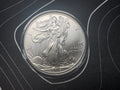 2014 1 oz Fine Silver One Dollar American Silver Eagle "Walking Liberty" Obverse | Gems Bullion
